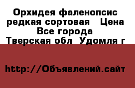 Орхидея фаленопсис редкая сортовая › Цена ­ 800 - Все города  »    . Тверская обл.,Удомля г.